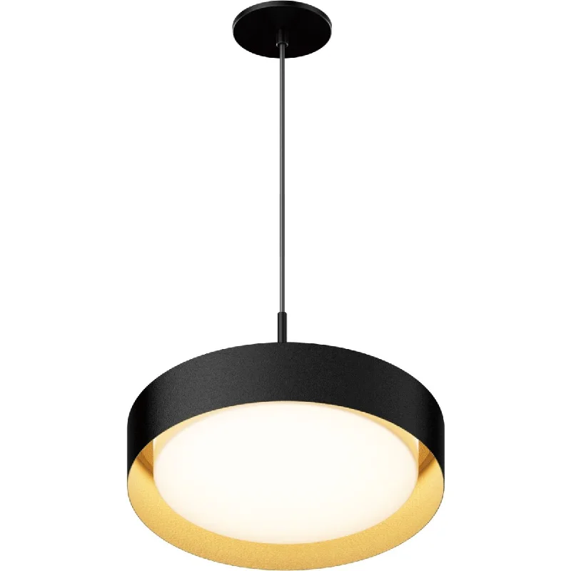 Durable Industrial Lighting for Harsh EnvironmentsEcho 16 in. LED Pendant Light Black finish with Gold interior