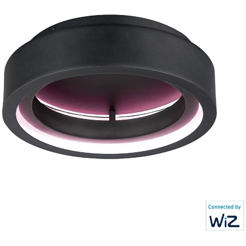 Industrial Lighting for Chemical PlantsIcorona Wiz 18 in. Smart LED Flush Mount Light RGBW Black Finish