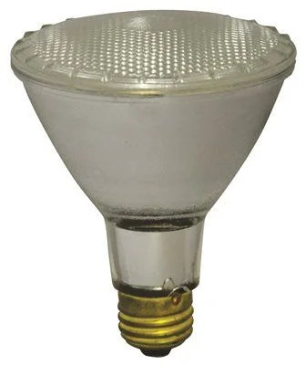 Track lighting for outdoor gardensSatco Halogen Flood Lamp Par30 39 Watts 120 Volts Medium Base Clear 50 Degree Beam Angle