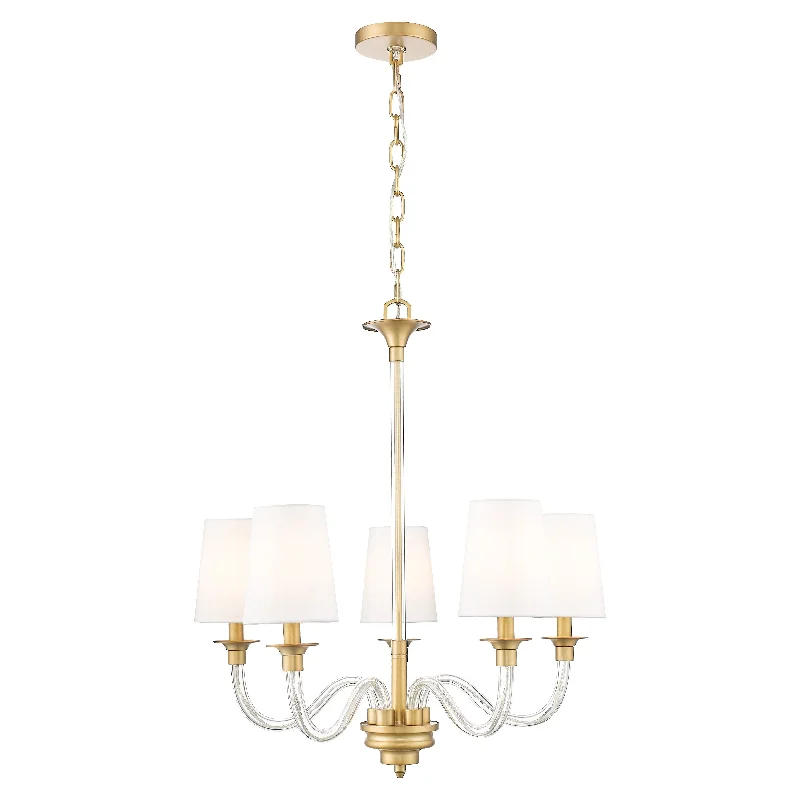 Track lighting for retail window displaysKaterina 5-Light Chandelier