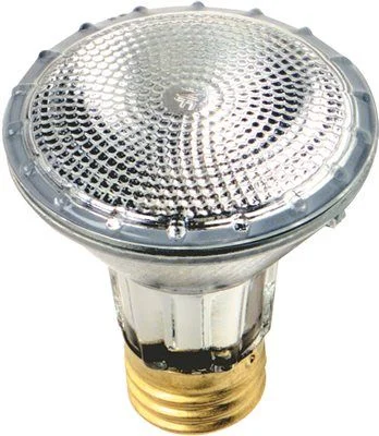 White track lighting for a clean lookSylvania Par 20 Halogen Capsylite Par Lamp