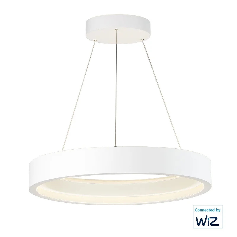 Industrial Lighting for Textile MillsIcorona Wiz 28 in. Smart LED Pendant Light RGBW Matte White finish