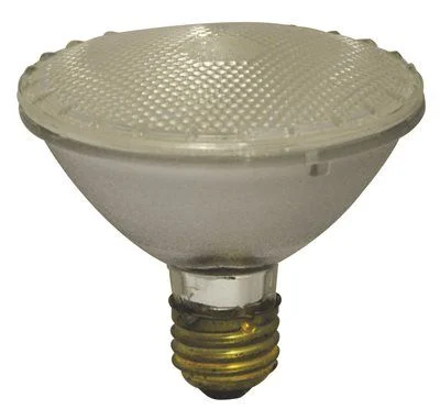 Track lighting for illuminating walkwaysSatco Halogen Flood Lamp Par30 39 Watts 130 Volts Medium Base Clear 34 Degree Beam Angle