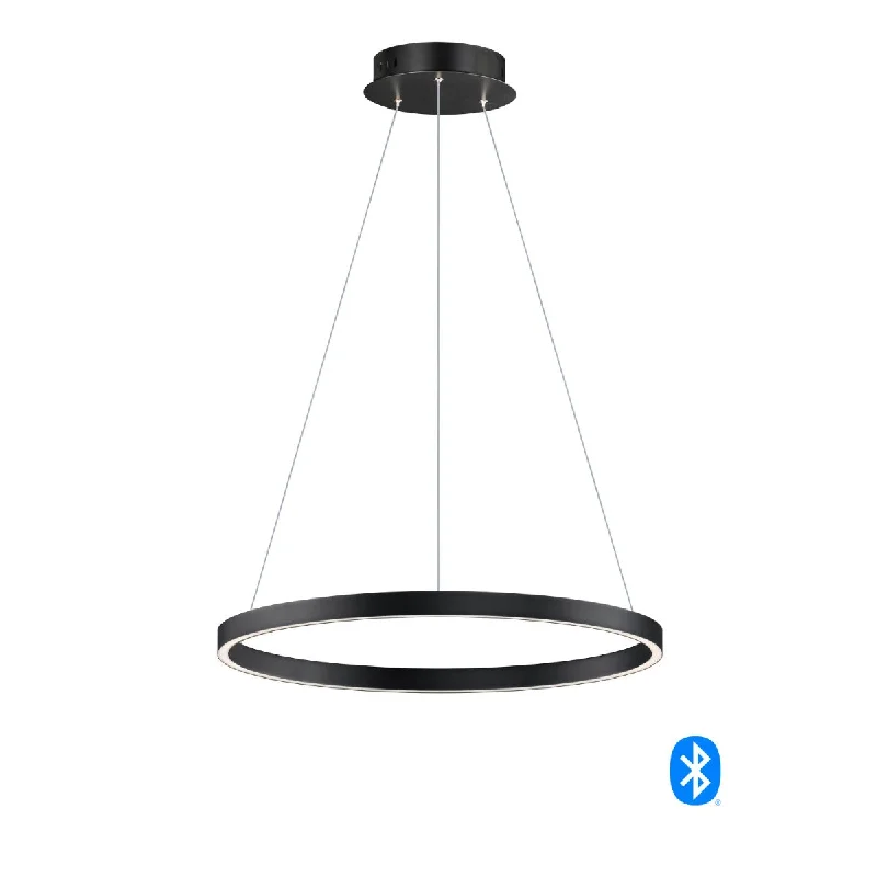 Industrial Lighting for Food Processing FactoriesGroove 24 in. LED Pendant Light Selectable CCT Black finish