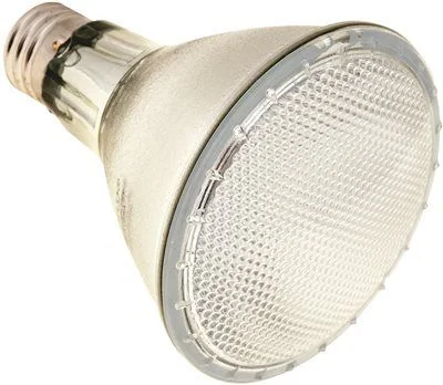 Outdoor - rated track lighting for patiosSatco Halogen Flood Lamp Par30 Long 60 Watts 120 Volts Medium Base Clear 50 Degree Beam Angle