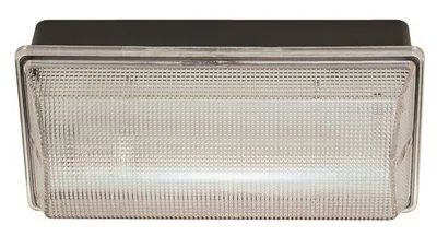 Low - voltage track lighting for safetyImpact Resistant Wall Pack Black With Clear Lens 5-1/2 X 11-1/2 X 4 Inch  Uses (2) 13-Watt 4100K Fluorescent Gx23 Base Lamp