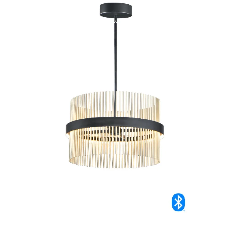 Corrosion - Resistant Industrial Lighting for Coastal FactoriesChimes 24 in. 2 Lights Smart LED Pendant Light Selectable CCT Brass Finish