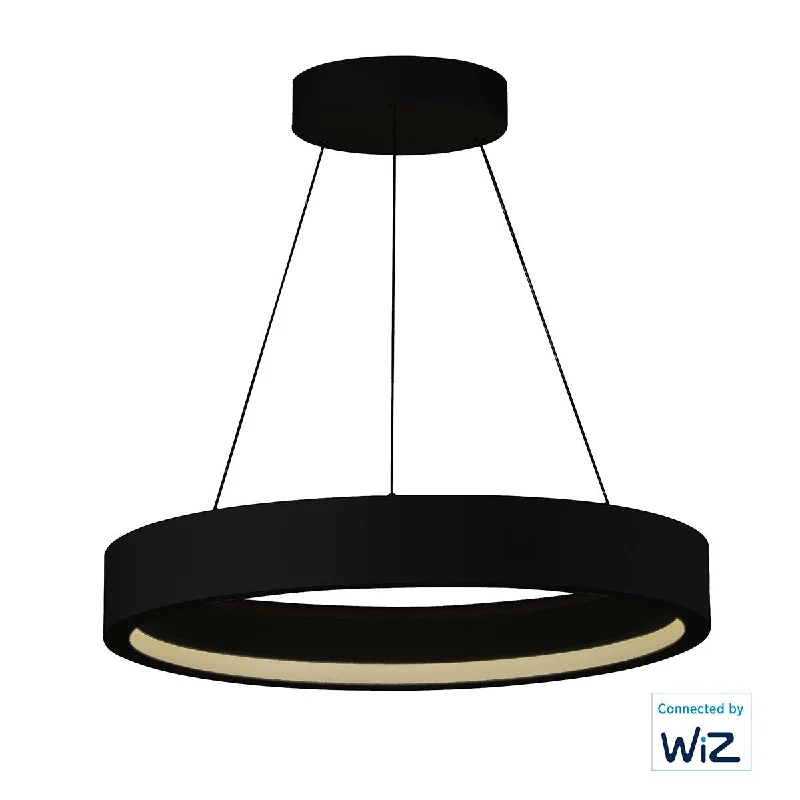 Industrial Flood Lighting for Outdoor Loading DocksIcorona Wiz 28 in. Smart LED Pendant Light RGBW Black finish