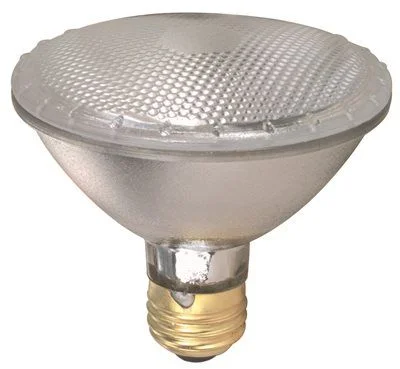 Track lighting with multiple heads for flexibilitySatco Halogen Flood Lamp Par30 Short Neck 60 Watts 120 Volts Medium Base Clear 34 Degree Beam Angle