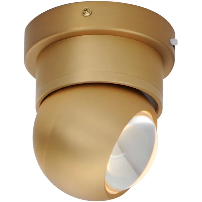 Corrosion - Resistant Industrial Lighting for Coastal FactoriesNodes 6 in. LED Flush Mount Light Selectable CCT Gold Finish