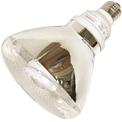 Track lighting for highlighting bookcasesSylvania Dulux El Compact Fluorescent Flood Lamp Par38 23 Watts 120 Volts 3000K 82 Cri Medium Base 6 Per Case
