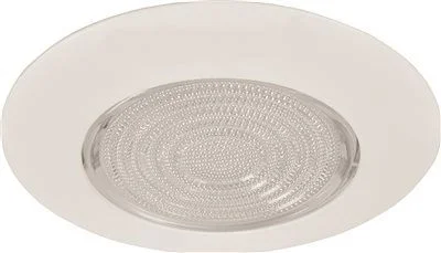 Track lighting with clear glass shadesMonument Recessed Lighting 6 Inch Fresnel Clear Glass With White Metal Trim Ring Track lighting with clear glass shadesMonument Recessed Lighting 6 Inch Fresnel Clear Glass With White Metal Trim Ring