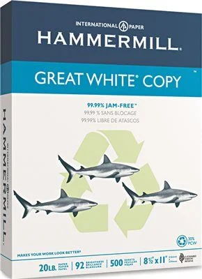 Track lighting for creating a moody atmosphereGreat White Recycled Copy Paper 92 Brightness 20Lb 8-1/2 X 11 5000 Shts/Ctn