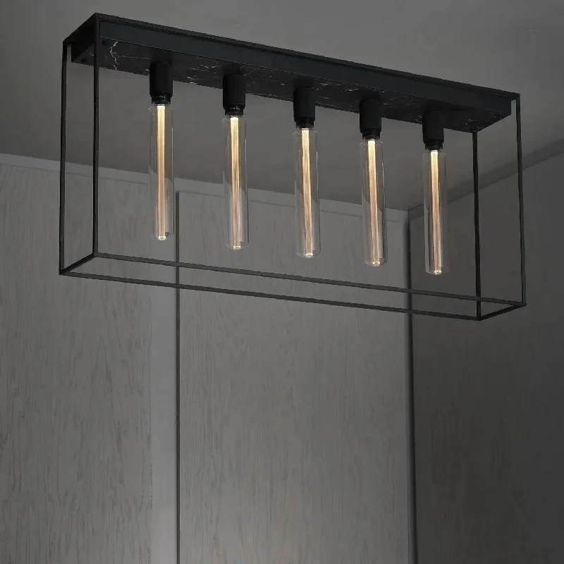 Contemporary track lighting in black finishCaged Ceiling Light 5.0