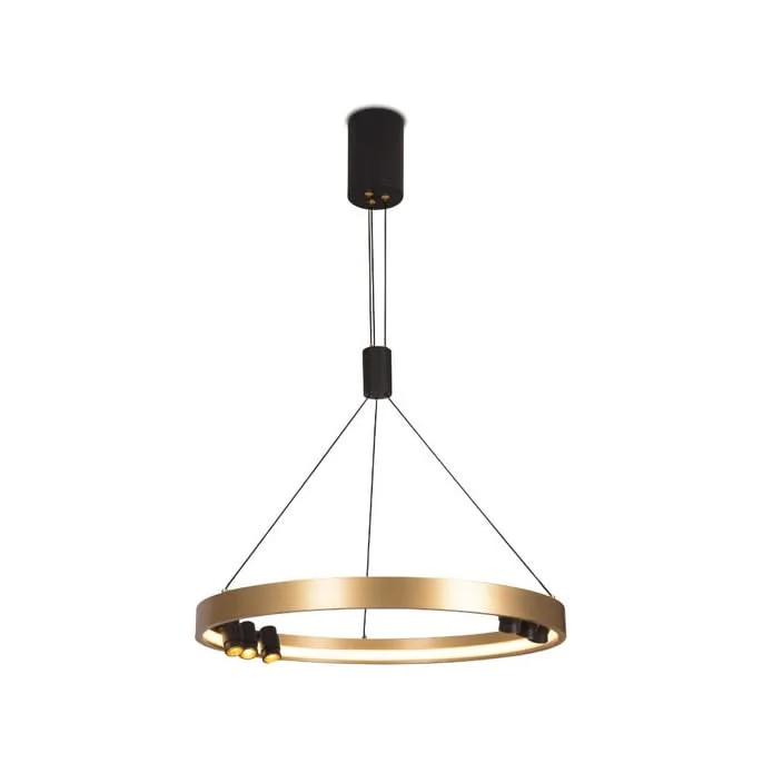 Modern Minimalist Ceiling Lights for Contemporary InteriorsModern Minimalist Ceiling Lights for Contemporary InteriorsBlack & Gold Monaco Round LED Pendant
