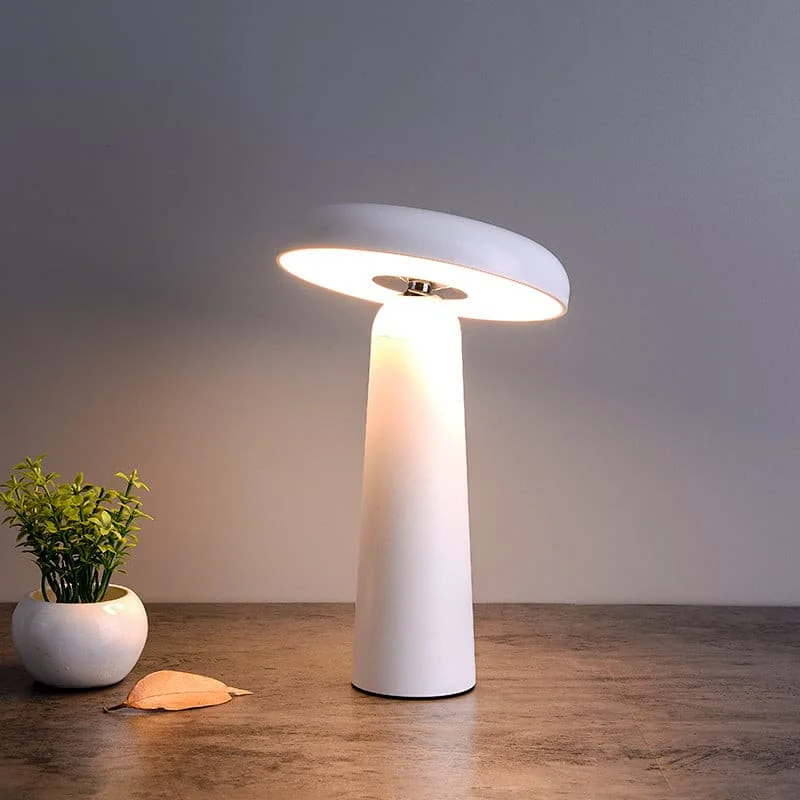 glass table lamps with a frosted surface for soft light diffusionglass table lamps with a frosted surface for soft light diffusionDesk Lamp Touch Control Rechargeable Battery LED Bulbs